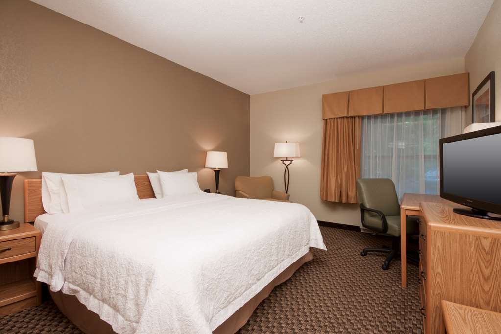 Hampton Inn Binghamton/Johnson City Pokój zdjęcie